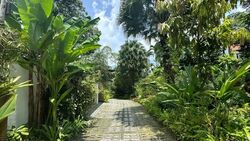 Wilby Road (D10), Detached #556709041